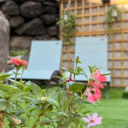 Homestay Old Aqueduct Village 2 - Madeira Serra de Agua